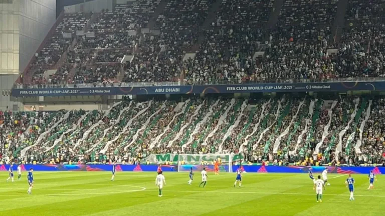 Torcida do Palmeiras no Mundial (Foto: Reprodução/Redes sociais)