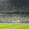 Torcida do Palmeiras no Mundial (Foto: Reprodução/Redes sociais)