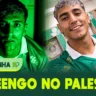 Vai e vem do mercado do Palmeiras | Tardezinha do NP #84