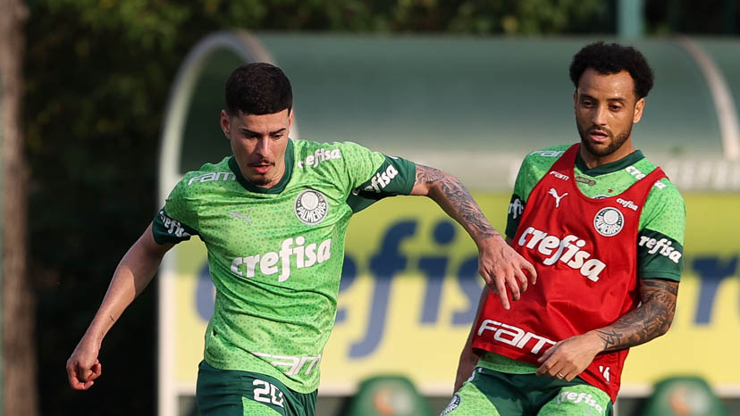 image para ilustrar o artigo