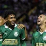 Palmeiras em ação na Copinha 2025 (Foto: Fábio Menotti / Palmeiras) 