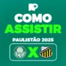 Como assistir ao jogo entre Palmeiras e Novorizontino pelo Paulistão 2025