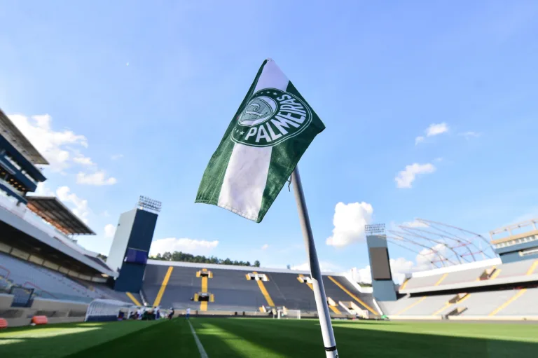 Palmeiras jogará o início da temporada na Arena Barueri (Foto: Mauro Horita/Ag.Paulistão)