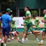 Treinamento do Palmeiras na Academia de futebol, em São Paulo (Foto: Cesar Greco) 