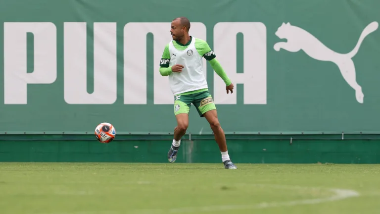 (Foto: Cesar Greco/Palmeiras)