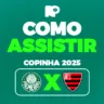 Como assistir ao jogo entre Oeste e Palmeiras pela Copinha 2025