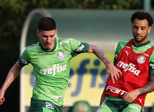 Rômulo e Felipe Anderson disputam posição no Palmeiras (Foto: Cesar Greco/Palmeiras)