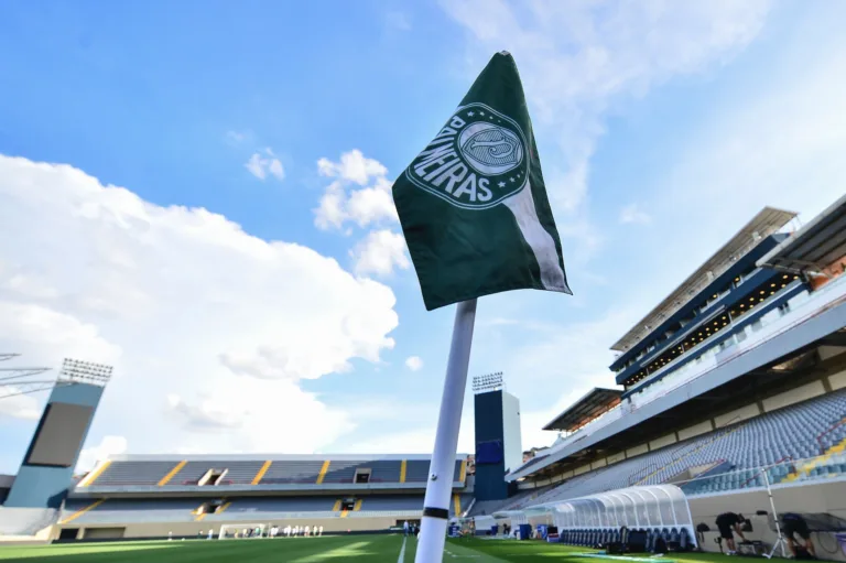 (Foto: Mauro Horita/Ag.Paulistão)