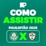 Como assistir ao jogo entre Palmeiras e Portuguesa pela estreia do Paulistão 2025