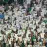 Torcida do Palmeiras no Allianz Parque (Foto: Danilo Martins Yoshioka)