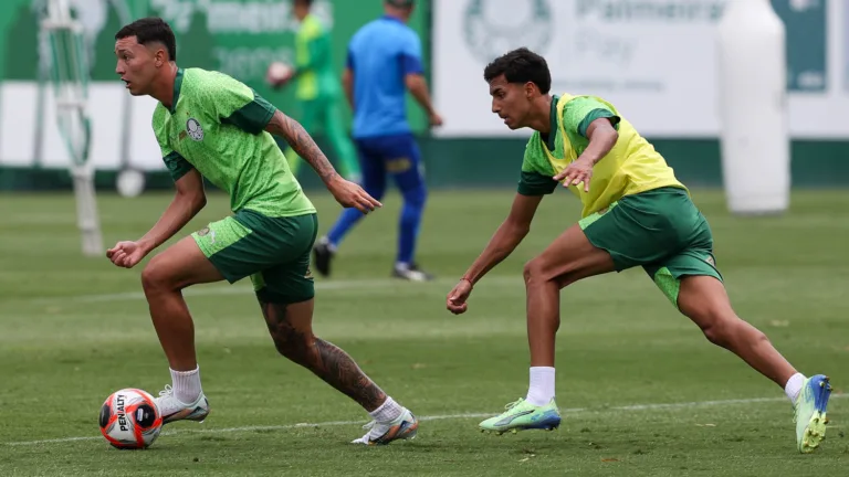 (Foto: Cesar Greco/Palmeiras)