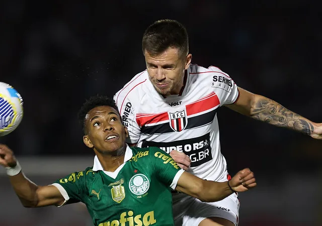 Palmeiras volta a enfrentar Botafogo-SP (Foto: Cesar Greco/Palmeiras)