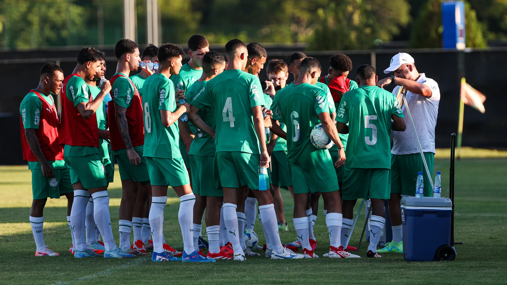 Estreia e reforço do profissional: veja provável escalação do Palmeiras para primeira partida da Libertadores Sub-20