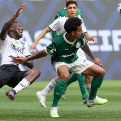 O jogador Lucas Evangelista, da SE Palmeiras, disputa bola com o jogador do Botafogo FR, durante partida válida pela primeira rodada, do Campeonato Brasileiro, Série A, na arena Allianz Parque. (Foto: Cesar Greco/Palmeiras/by Canon)
