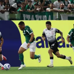 Palmeiras em ação contra o Corinthians na Arena Barueri (Foto: Cesar Greco)
