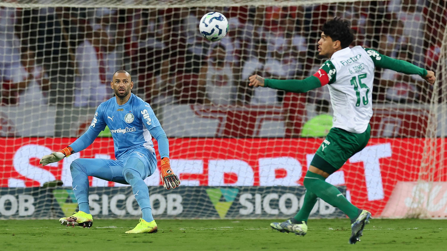 Internacional e Palmeiras, no Beira-Rio (Foto: Cesar Greco/Palmeiras)