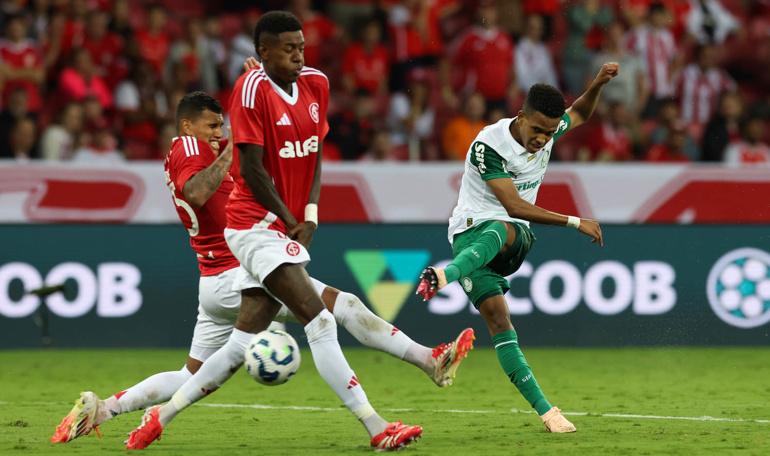 image para ilustrar o artigo