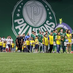 Palmeiras em ação pelo Campeonato Brasileiro (Foto: Cesar Greco/Palmeiras)