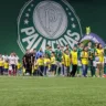 O time da SE Palmeiras, em jogo contra a equipe do EC Bahia, durante partida válida pela sexta rodada, do Campeonato Brasileiro, Série A, na arena Allianz Parque. (Foto: Cesar Greco/Palmeiras/by Canon)