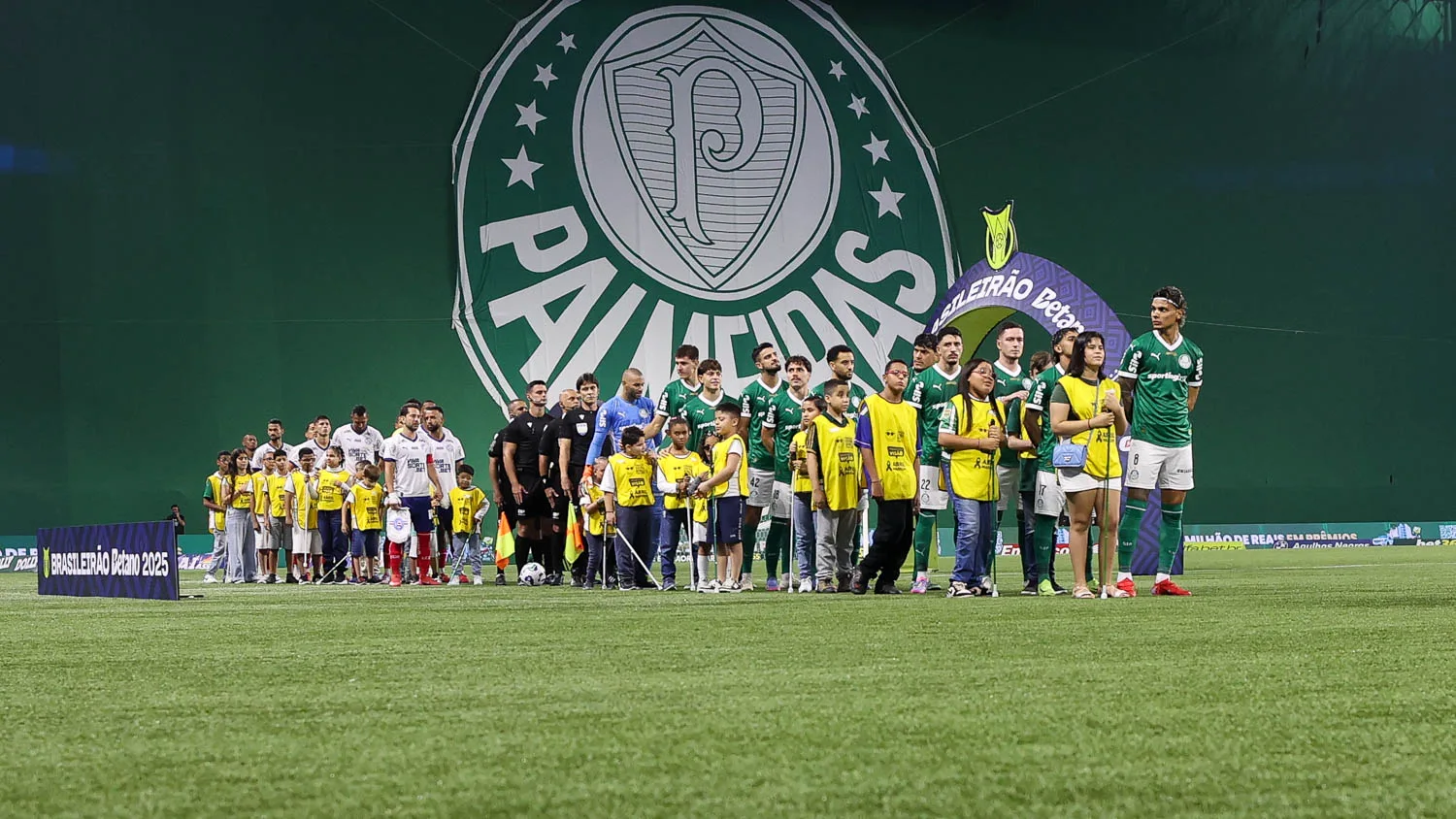 image para ilustrar o artigo