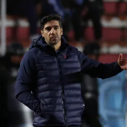 Abel Ferreira