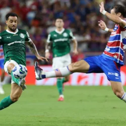 Fortaleza e Palmeiras, pelo Campeonato Brasileiro (Foto: Cesar Greco/Palmeiras)