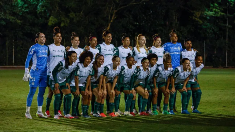Verdão encara o Cruzeiro na próxima rodada do torneio nacional (Foto: Lara Vantzen/Internacional)
