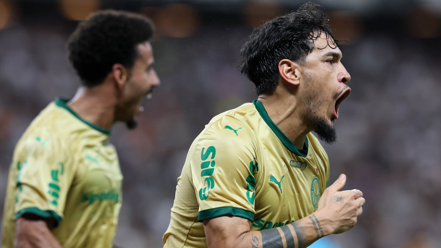 image para ilustrar o artigo