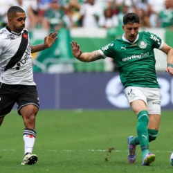 Vasco e Palmeiras em Bras&iacute;lia, pelo Campeonato Brasileiro (Foto: Cesar Greco/Palmeiras)