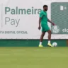 O jogador Micael, da SE Palmeiras, durante treinamento, na Academia de Futebol. (Foto: Cesar Greco/Palmeiras/by Canon)