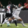 Palmeiras tem longa invencibilidade contra o Vasco; última derrota tinha ídolo palmeirense em campo pelo adversário