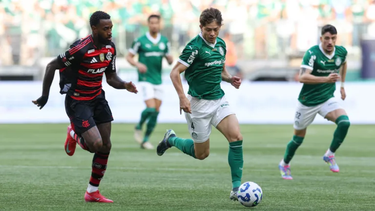 Palmeiras X Flamengo pelo Campeonato Brasileiro (Foto: Cesar Greco/Palmeiras/by Canon)