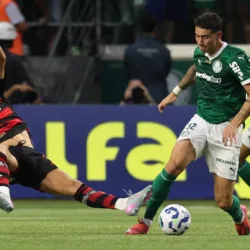 Palmeiras X Flamengo pelo Campeonato Brasileiro (Foto: Cesar Greco/Palmeiras/by Canon)