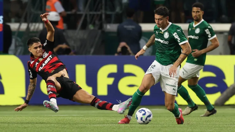 Palmeiras X Flamengo pelo Campeonato Brasileiro (Foto: Cesar Greco/Palmeiras/by Canon)