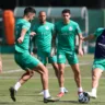 Palmeiras durante treinamento na Academia de Futebol (Foto: César Greco) 