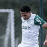 Lucas Gabriel em ação pelo Palmeiras (Foto: Divulgação) 