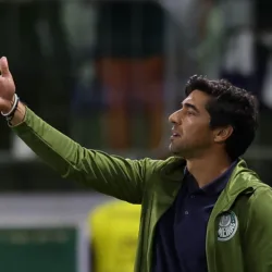 (Foto: Cesar Greco/Palmeiras)
