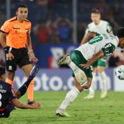 Cerro Porte&ntilde;o e Palmeiras, no Paraguai, pela Libertadores