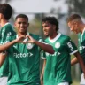 Palmeiras Sub-20 em ação pelo Paulistão (Foto: Fabio Menotti) 