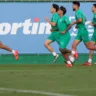 Palmeiras durante treinamento na Academia de Futebol (Foto: Cesar Greco/Palmeiras)