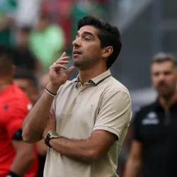 Abel Ferreira comanda Palmeiras contra Vasco, no Mané Garrincha (Foto: Cesar Greco/Palmeiras)