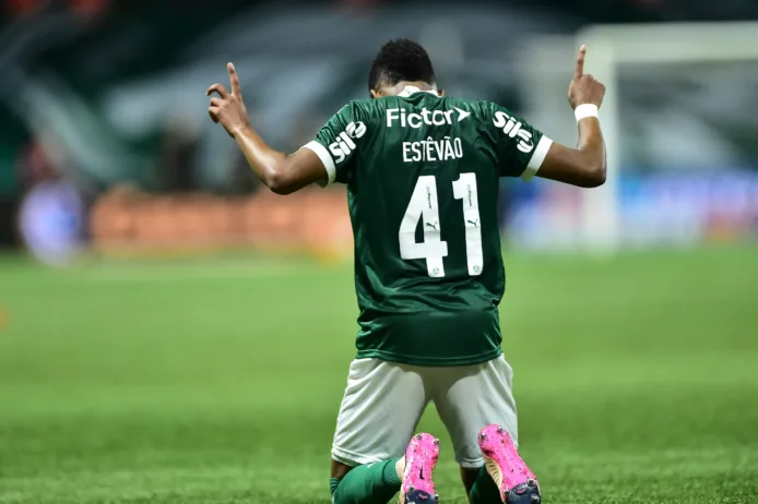 Estêvão comemora gol pelo Palmeiras contra o Ceará na Copa do Brasil (Foto: Staff Images)