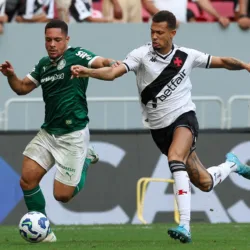 Vasco e Palmeiras em Brasília, pelo Campeonato Brasileiro (Foto: Cesar Greco/Palmeiras)