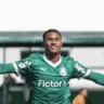 Antônio Marcos em ação pelo Palmeiras (Foto: Divulgação) 