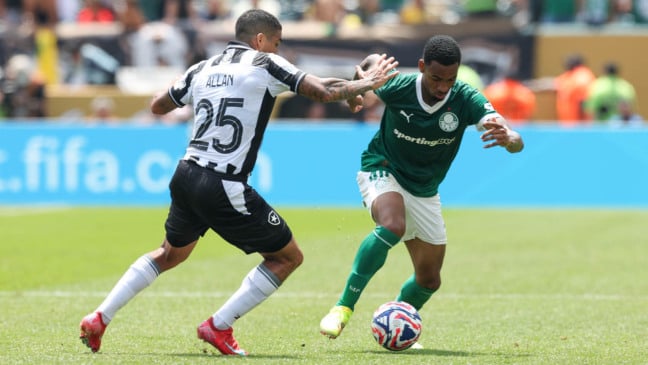 Palmeiras e Botafogo pelas oitavas de final da Copa do Mundo de Clubes (Foto: Cesar Greco/Palmeiras)