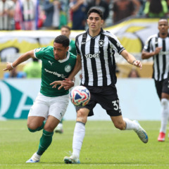 Palmeiras e Botafogo pelas oitavas de final da Copa do Mundo de Clubes (Foto: Cesar Greco/Palmeiras)
