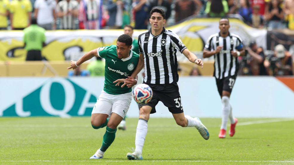 Palmeiras e Botafogo pelas oitavas de final da Copa do Mundo de Clubes (Foto: Cesar Greco/Palmeiras)