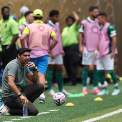 O técnico Abel Ferreira, da SE Palmeiras, em jogo contra a equipe do Botafogo FR, durante partida válida pela oitava de final, da Copa do Mundo de Clubes da FIFA, no Lincoln Financial Field. (Foto: Cesar Greco/Palmeiras/by Canon)