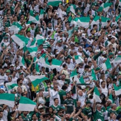 (Foto: Danilo Martins / Podporco) 