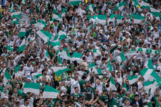 (Foto: Danilo Martins / Podporco) 